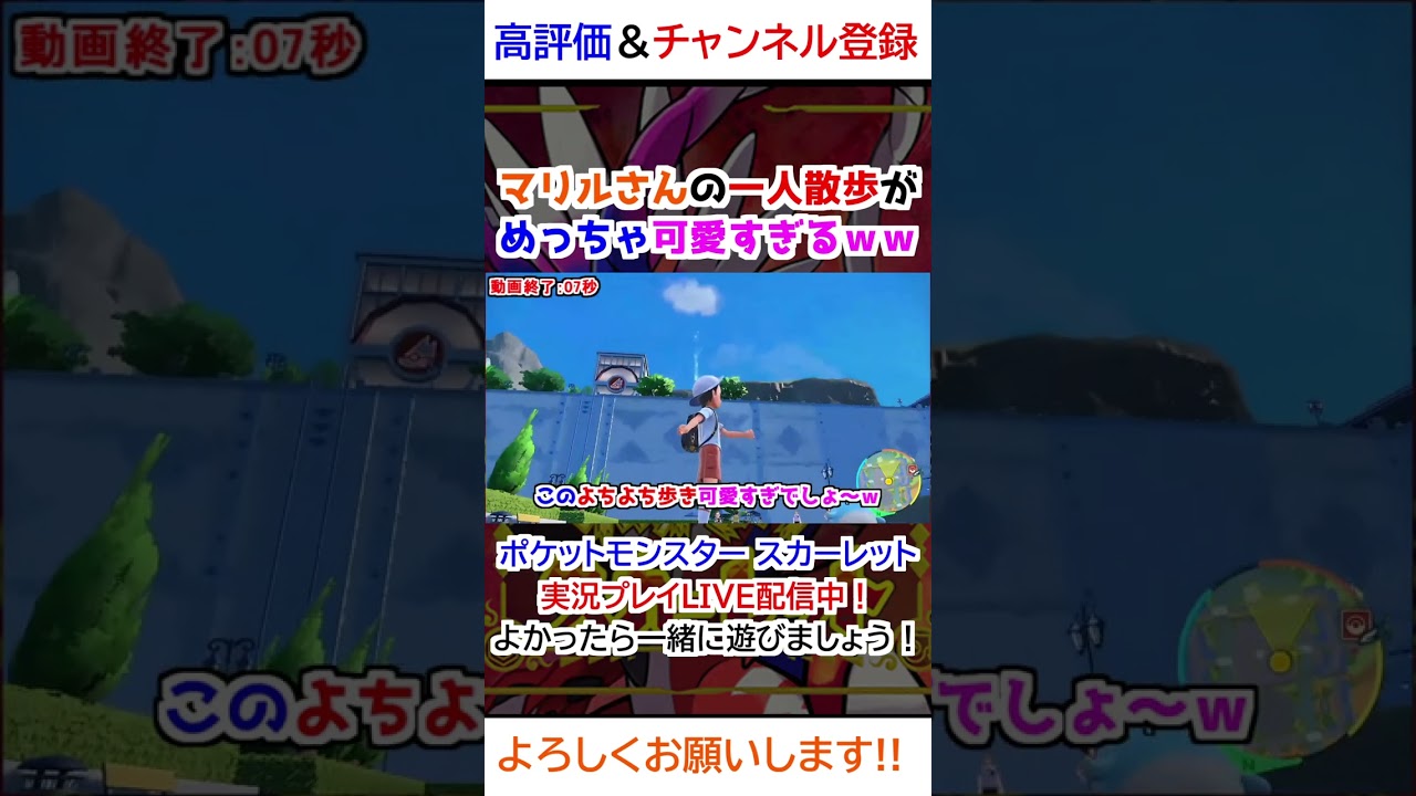 マリルさんの一人散歩がめっちゃ可愛すぎるｗｗ【ポケモンSV】