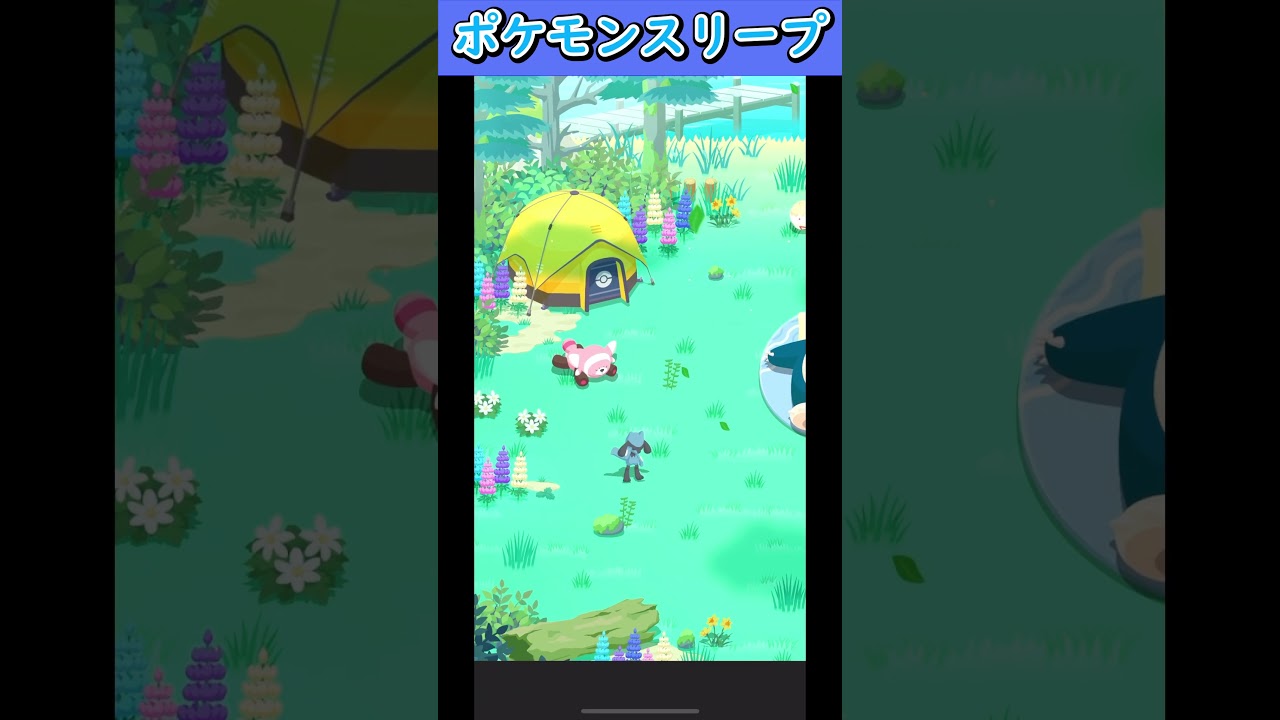 ヌイコグマの可愛い寝顔 #shorts