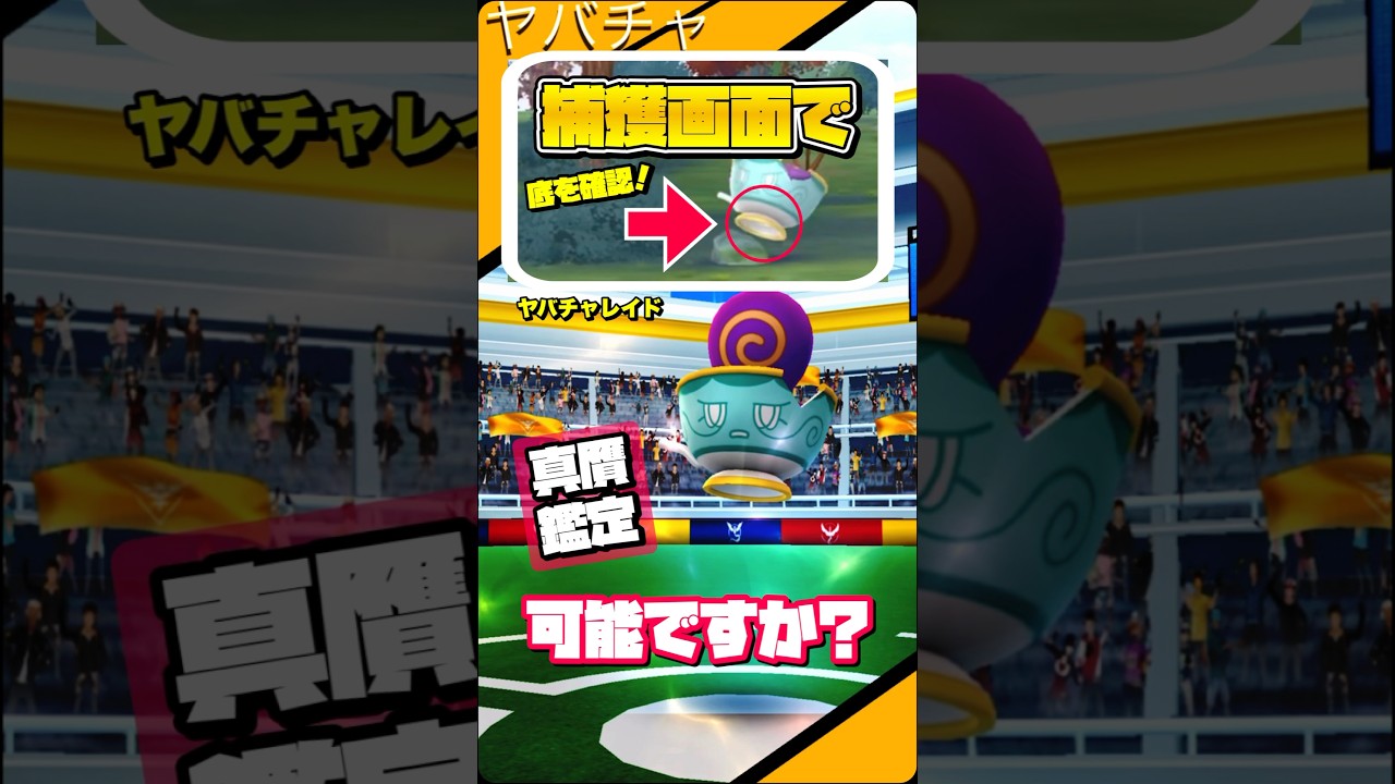 【検証】捕獲画面で『しんさく』は判別出来るのか？ポットデスの裏面も！？【ポケモンGO】