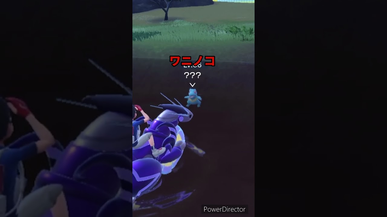 【ポケモンバイオレット】ワニノコと戯れてたら邪魔された　#ポケモンバイオレット #ゲームリハビリ #切り抜き #shorts