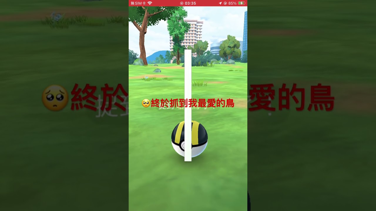 來巴西抓聒噪鳥吧🥺ペラップChatot