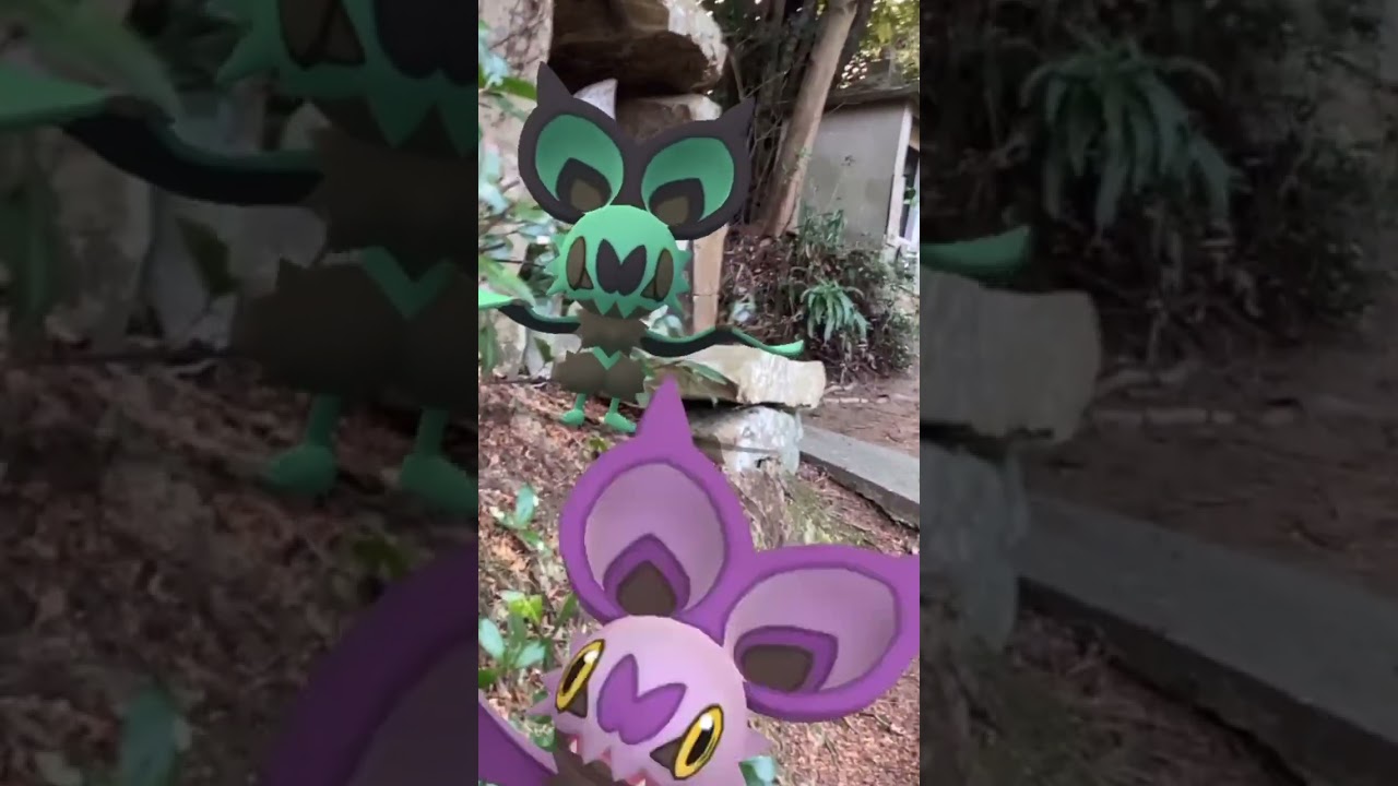 オンバット｜Noibat｜オンバーン｜Noivern｜ShinyPokémon｜GOphotobomb｜CommunityDay【ポケモンGO】PoKeMoN GO AR｜#Shorts