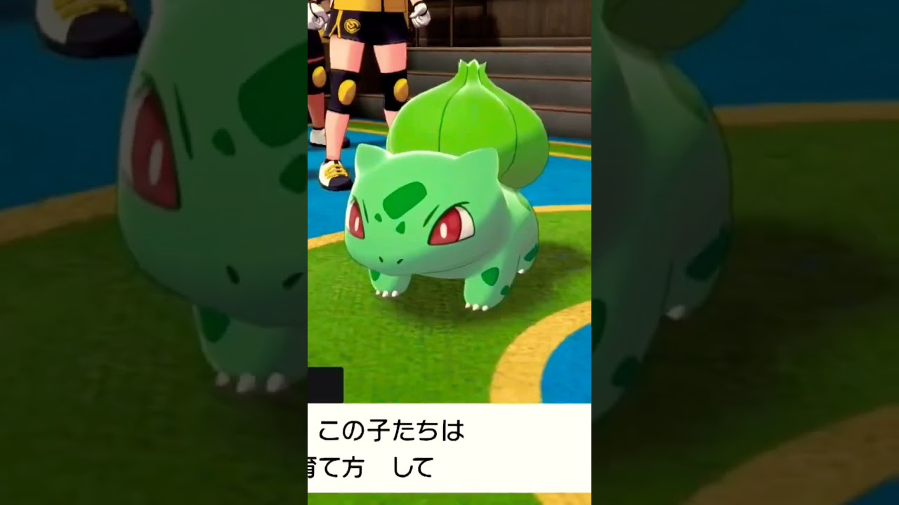可愛いポケモン💕🐢【ゼニガメ】