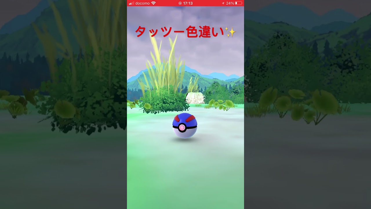 タッツー色違い✨