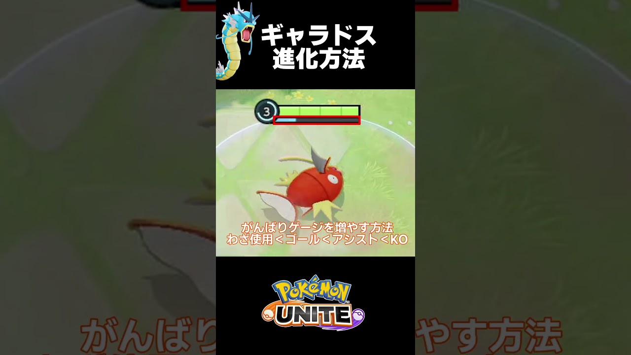 ギャラドスの進化方法を覚えて素早く進化しよう！【ポケモンユナイト】 #pokemonunite