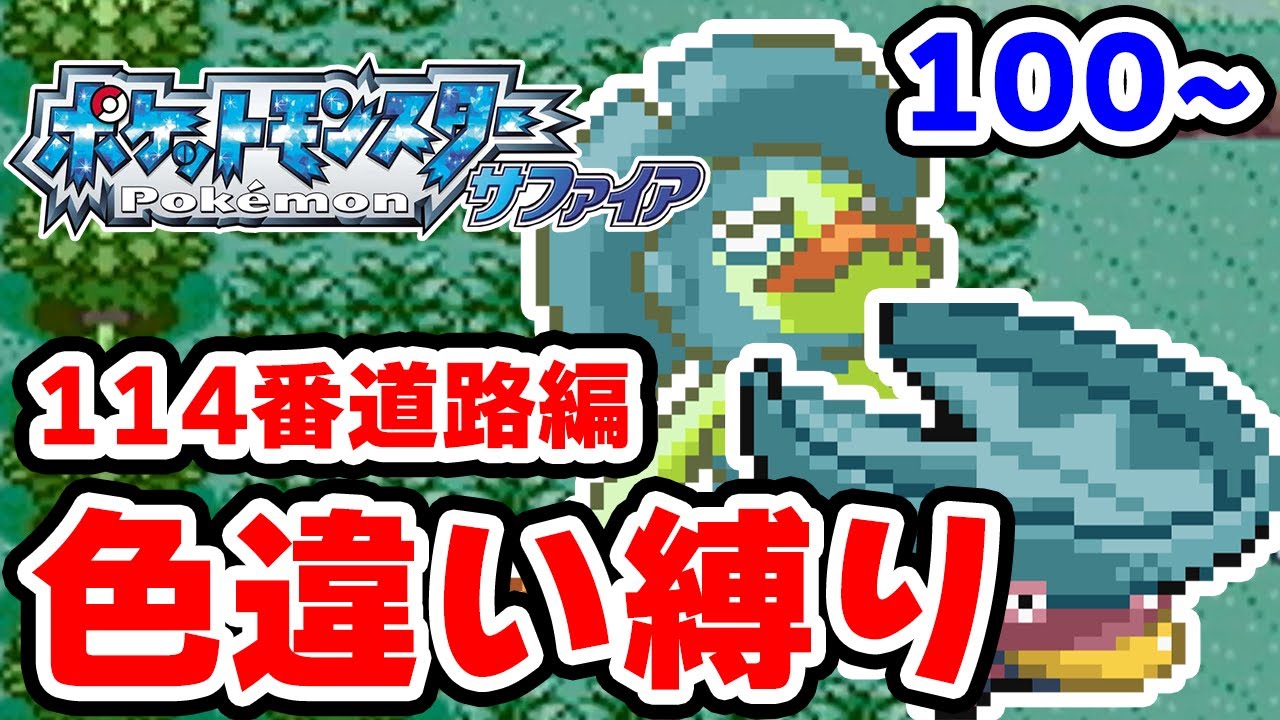 【色違い縛り】新・色違いを再び114番道路で粘る男 100~【ポケモンRS】