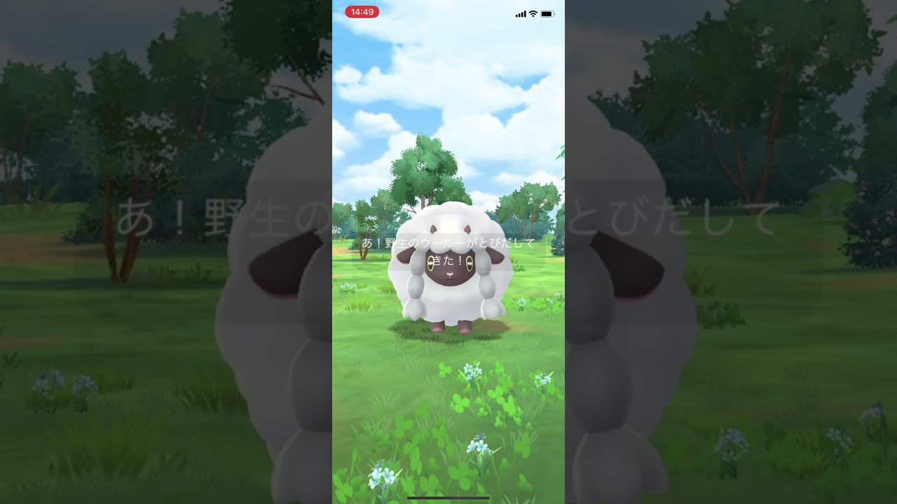 【ポケGO】コレクションチャレンジ「歩いていこう！コレクションチャレンジ：ホシガリスとウールー」の内容とリワード【ポケモンGO/Pokémon GO】