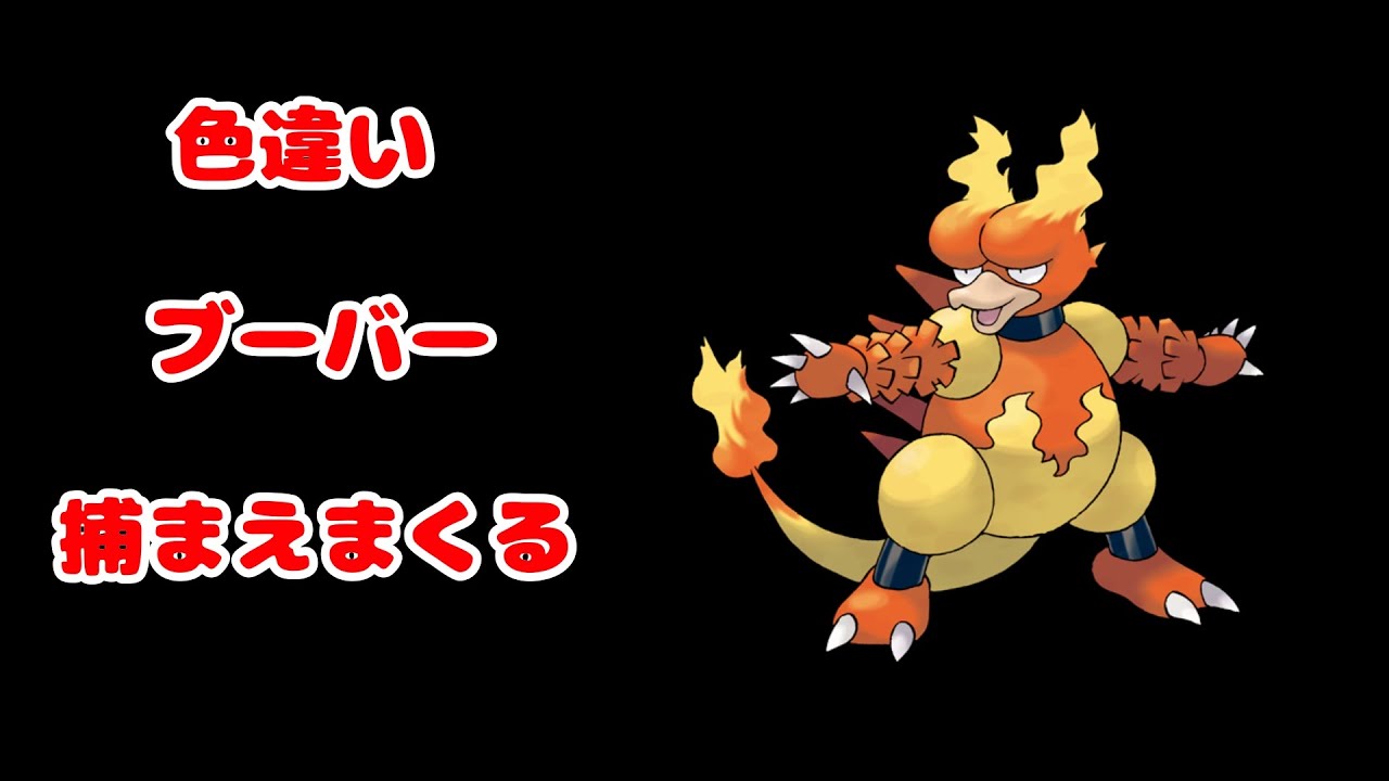 色違いブーバーだけで1ボックス埋めたい