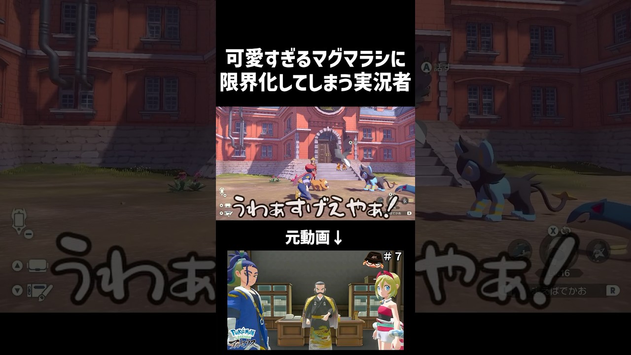 マグマラシとビッパが可愛くて仕方がない #shorts #ゲーム実況 #切り抜き #ポケモンレジェンズアルセウス