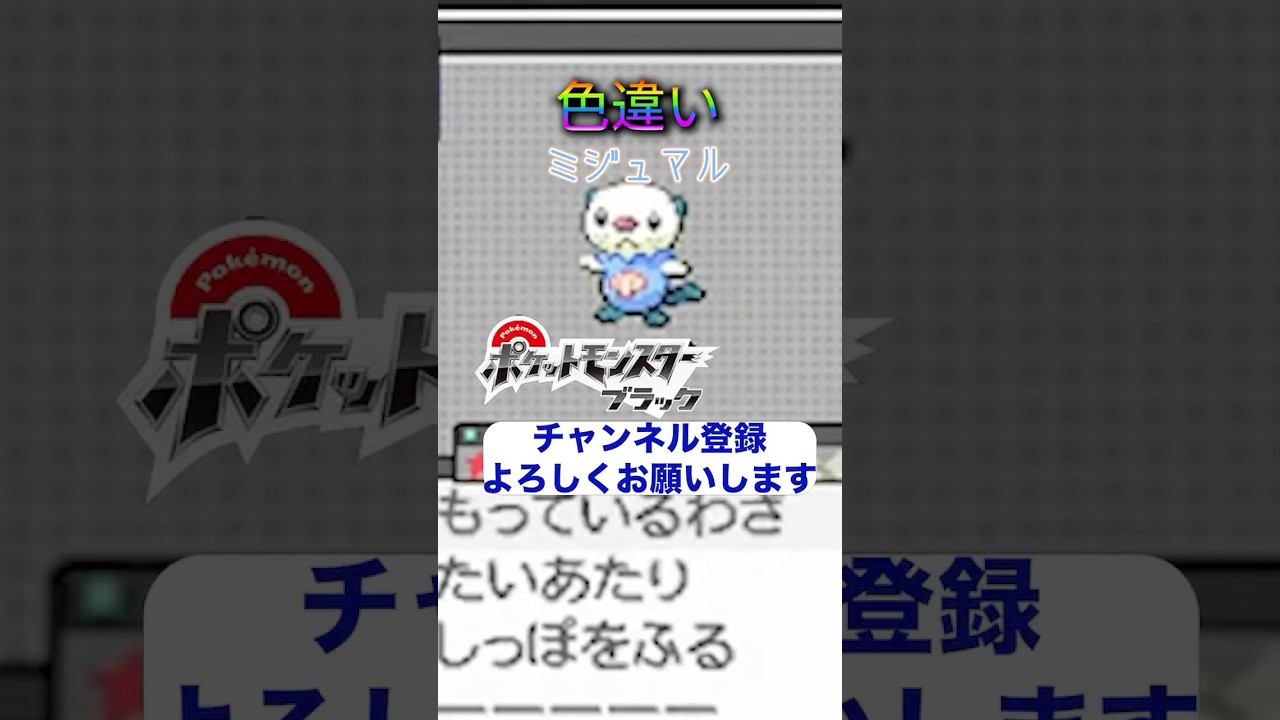 【ポケモンBW】色違いミジュマルキタァァ！可愛い👏#pokémon #pokemon #ポケモン #色違い縛り #ミジュマル #色違いミジュマル #ポケモンbw #ポケモンsv