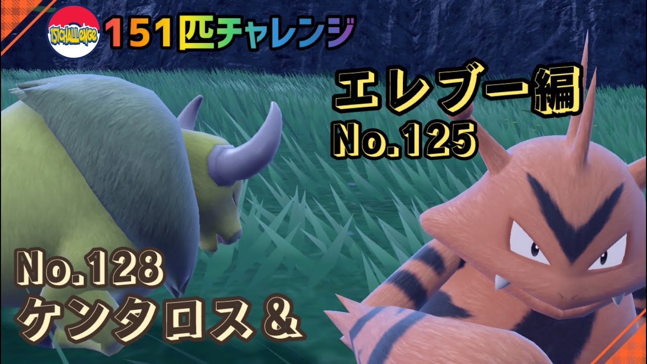 【151匹チャレンジ】特性と持ち物で技威力2倍のケンタロス＆天真爛漫エレブー