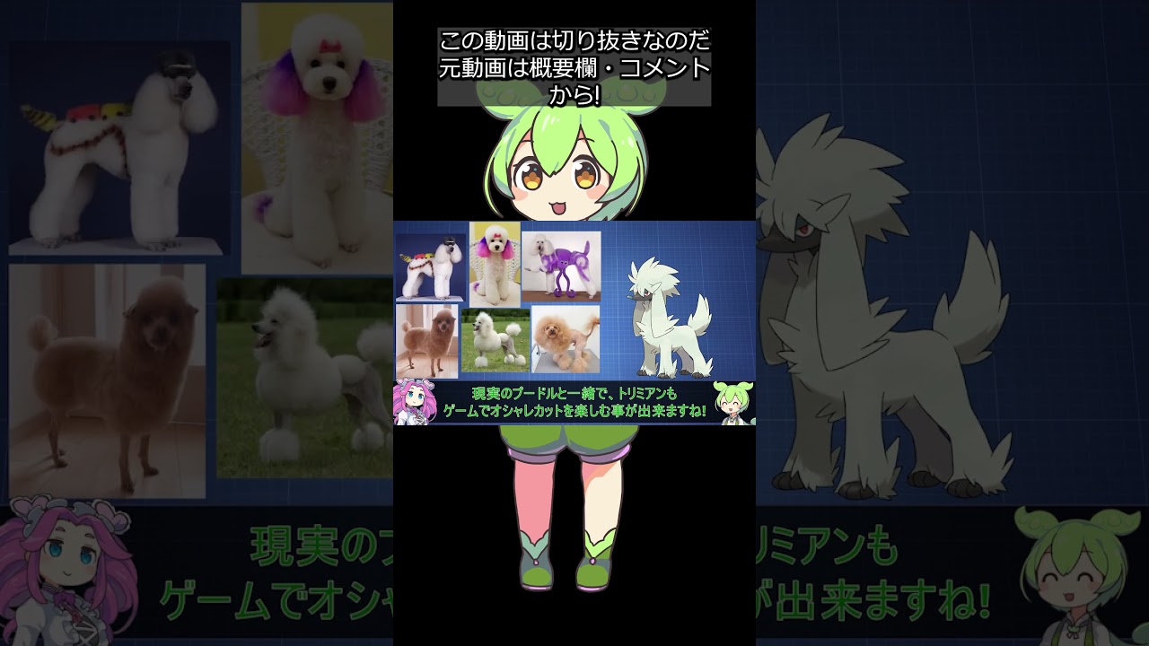 【全犬ポケモン解説⑨】トリミアン #shorts #ずんだもん解説 #切り抜き
