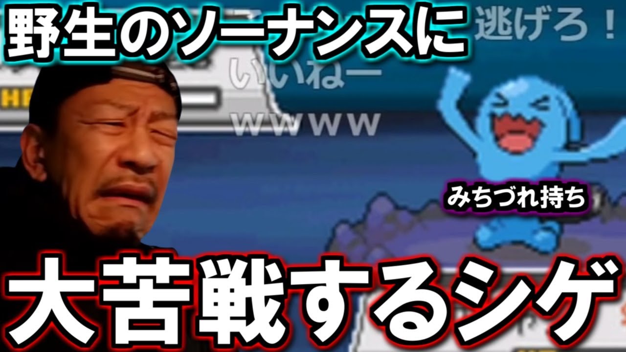 人生縛り4週目のDJシゲ、野生のソーナンスに大苦戦【2024/12/9】【ポケットモンスター ハートゴールド】