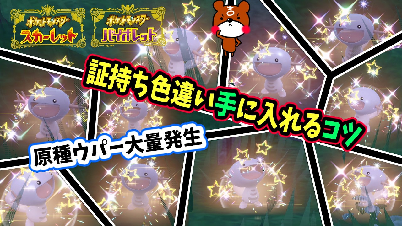 【ポケモンSV】必見！原種ウパー大量発生！可愛い証持ち色違いウパー＆ヌオー手に入れるコツ教えます！ポケモンスカーレットバイオレット