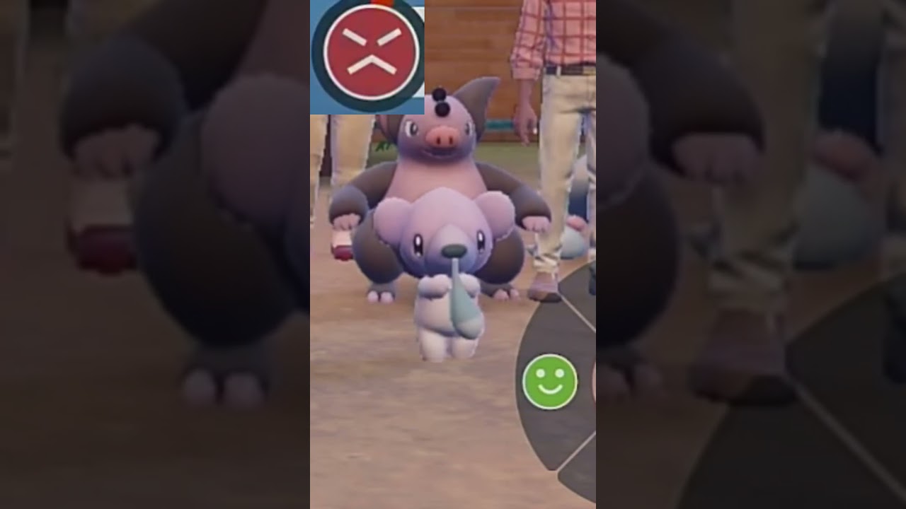 【クマシュン】ポケモンエクササイズ【パルデア図鑑No.355】#Shorts #pokemon