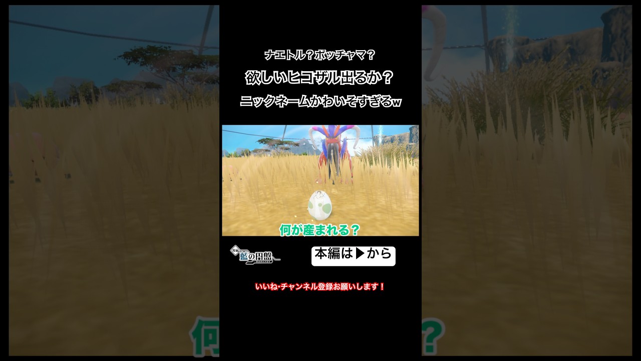 ヒコザル出るか？ニックネームかわいそすぎるw #shorts #ポケモンsv #ゲーム実況 #ヒコザル #タマゴ #あだ名 #誕生 #孵化 #ポケモン #switch #おもしろ