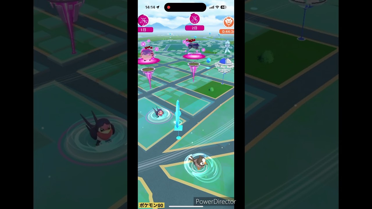 スバメ色違い✨ #ポケモンgo #pokemon #ポケgo #shinypokemon #pokémon