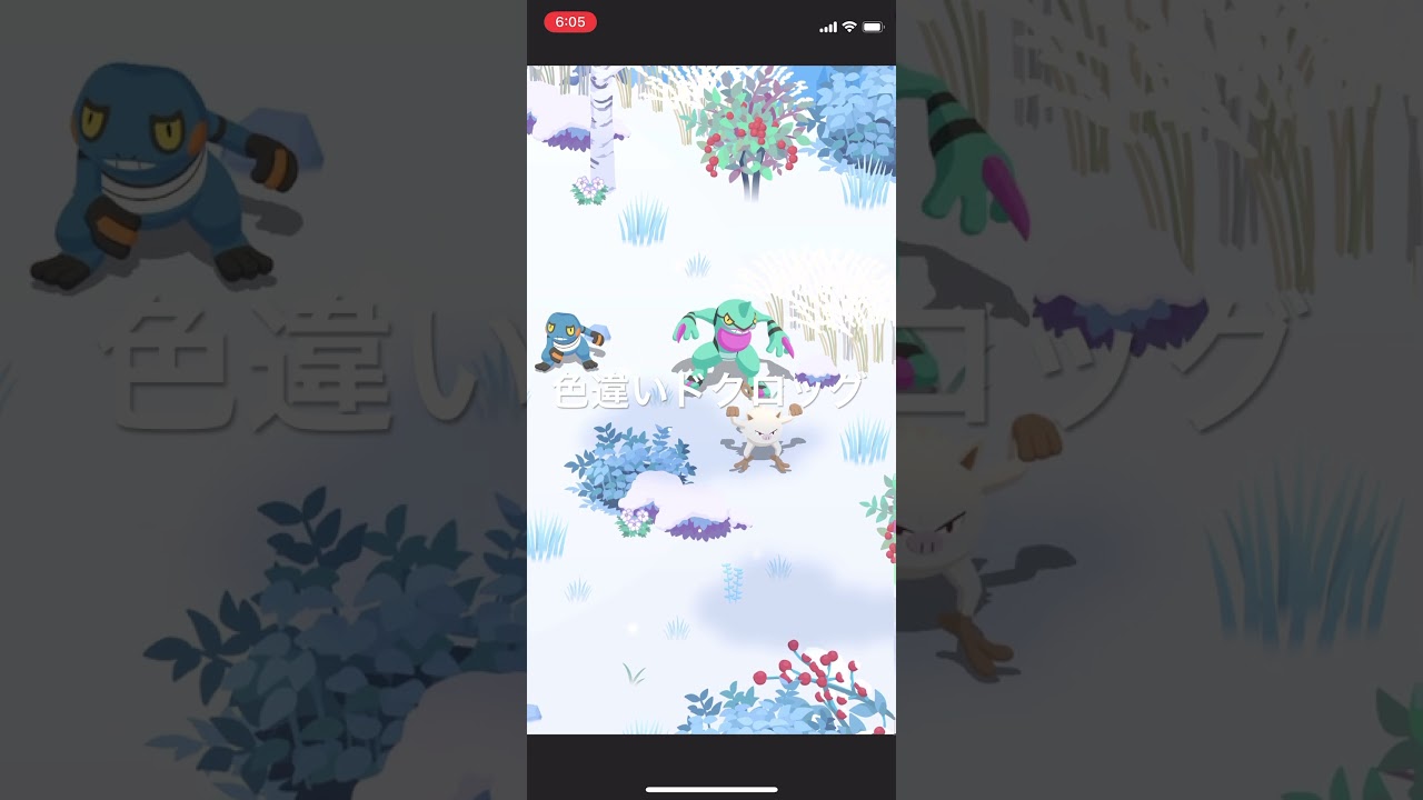 ポケモンスリープ　色違いドクロッグ出現！ #pokémon