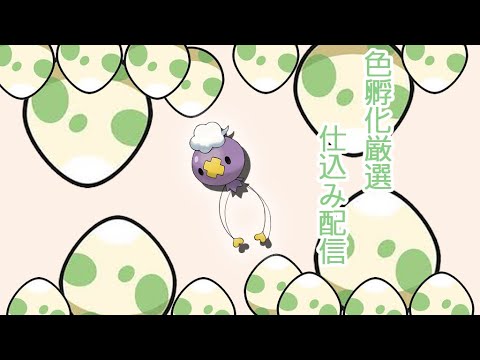 ポケモン色違い孵化厳選フワンテ