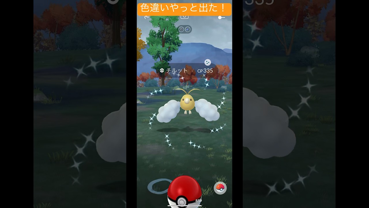 色違いチルットやっと出た！！#ポケモンgo #pokemon #pokemongo #shorts #short