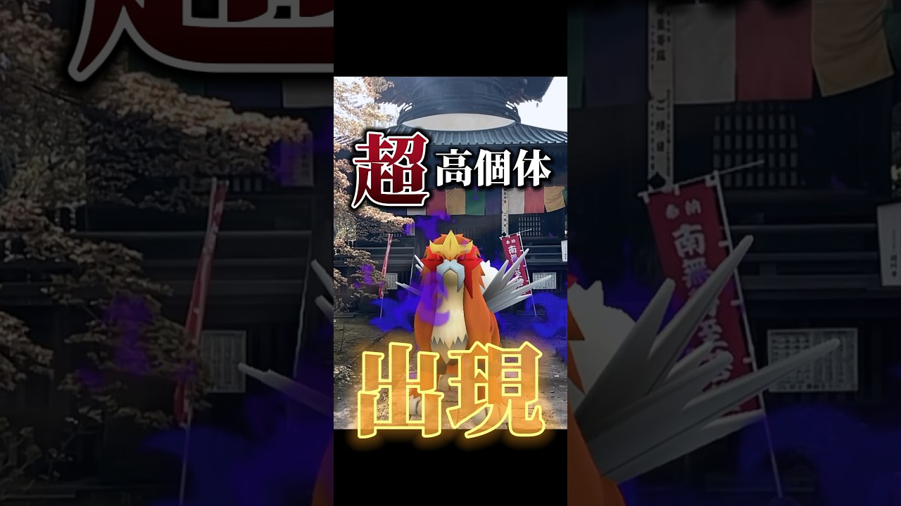【衝撃】超高個体シャドウエンテイ顕現！【ポケモンGO】　　#ポケモンgo #ポケgo #pokemongo #ポケモン #pokemon #シャドウエンテイ #shorts
