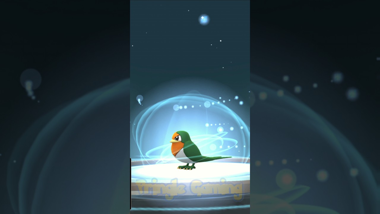 Shiny Taillow evolves into... #Swellow #スバメ #Subame #Ohsubame #オオスバメ #pokemongo #pokémon