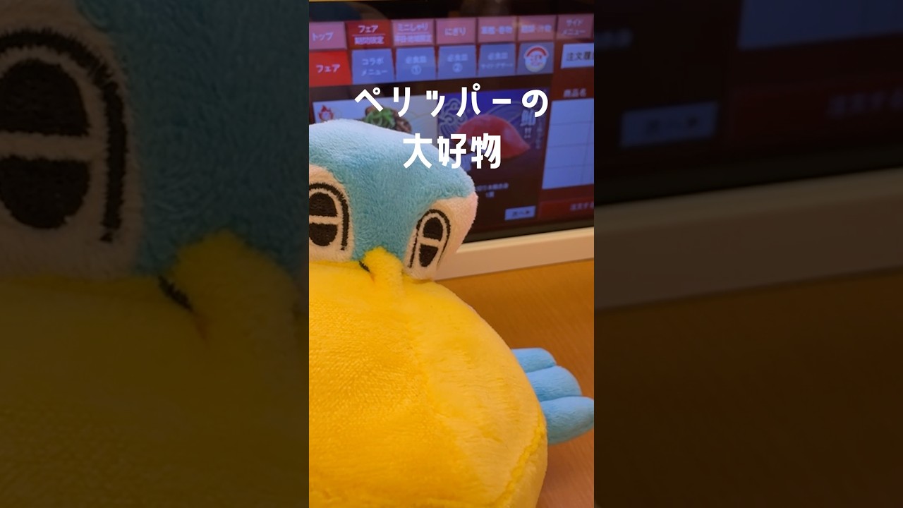 ペリッパーの大好物はスシローのまぐろだよ　#ポケモンsv #ポケモン #ペリッパー