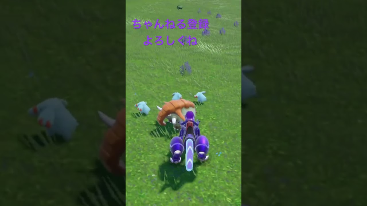 色違いドンファン、錆びたかな？ #ポケモン #ポケモンsv #色違い #pokemon #shiny #gameplay