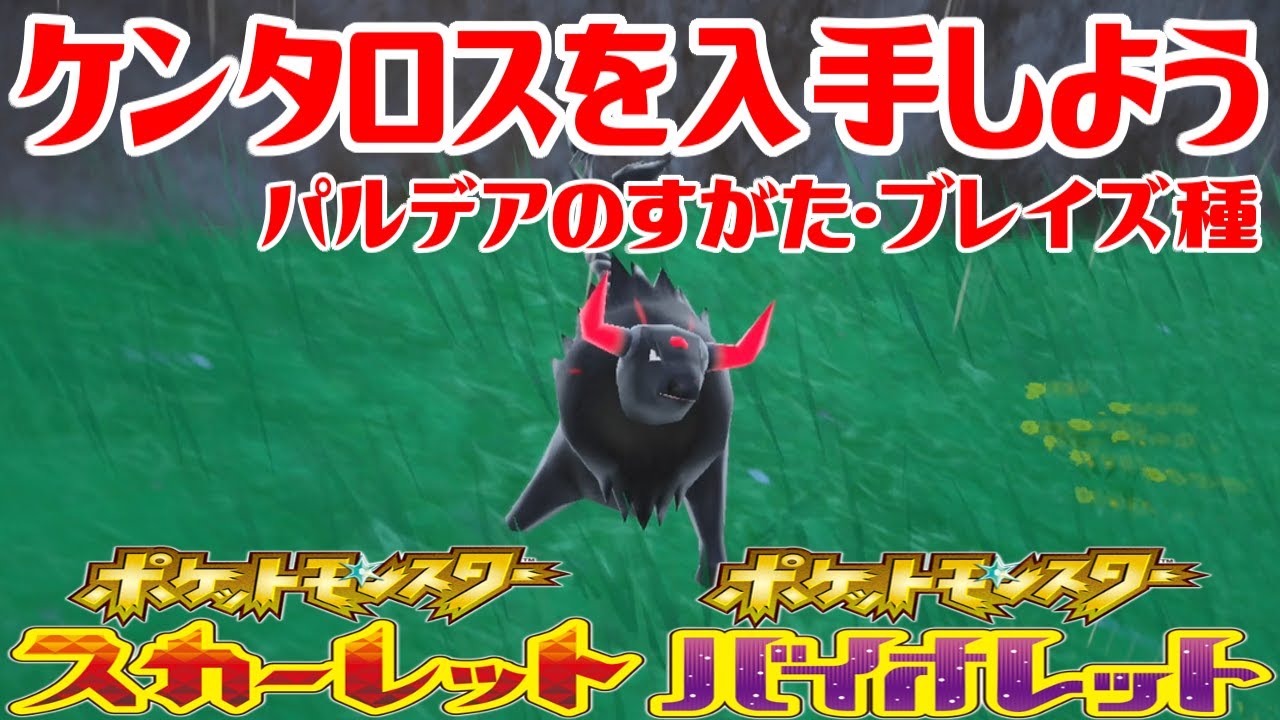 【ポケモンSV】ケンタロス(パルデアのすがた・ブレイズ種)を入手しよう【ポケットモンスター スカーレット・バイオレット】Pocket Monsters