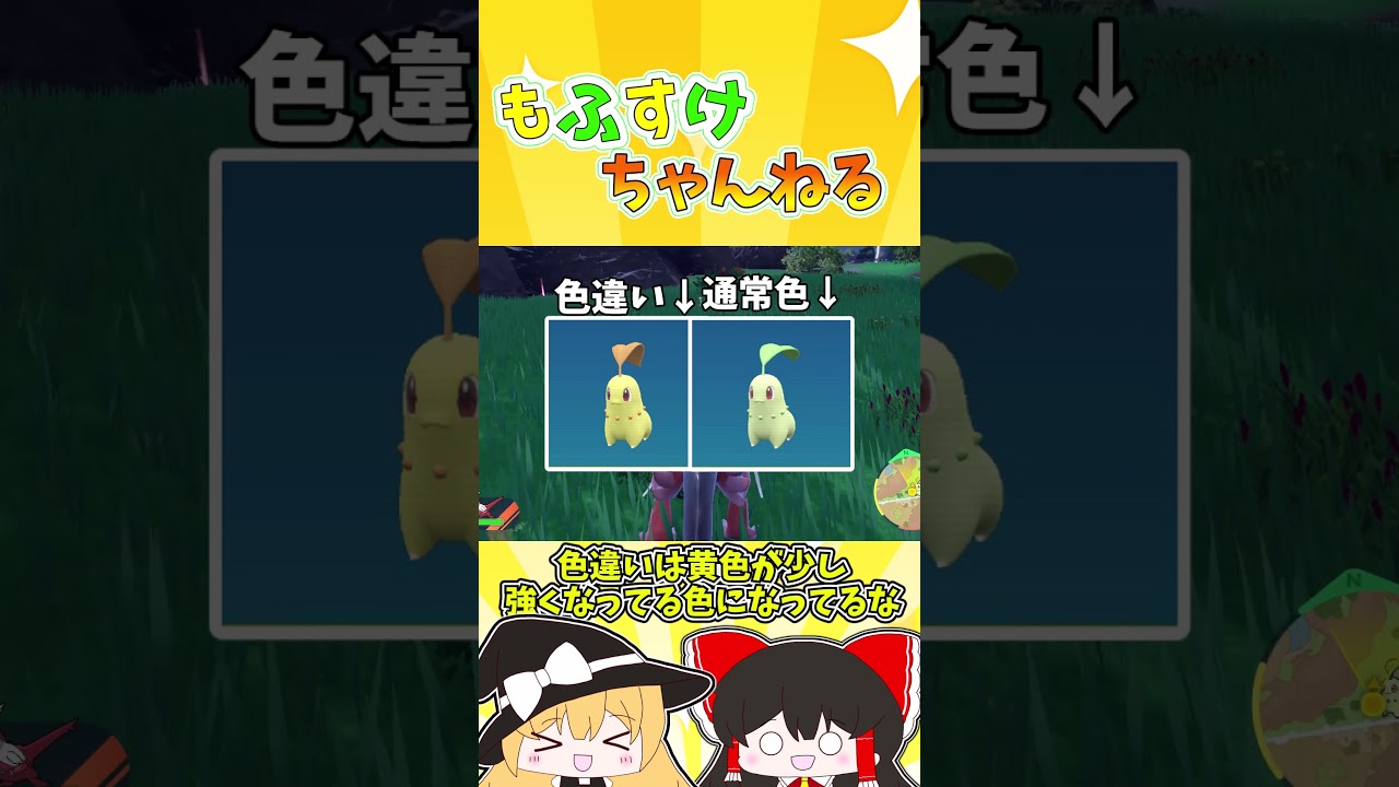 【ポケモンSV】short版！色証ブルーベリー図鑑完成の旅 チコリータ編【ゆっくり実況】#shorts #ポケモンsv #色違い #色証