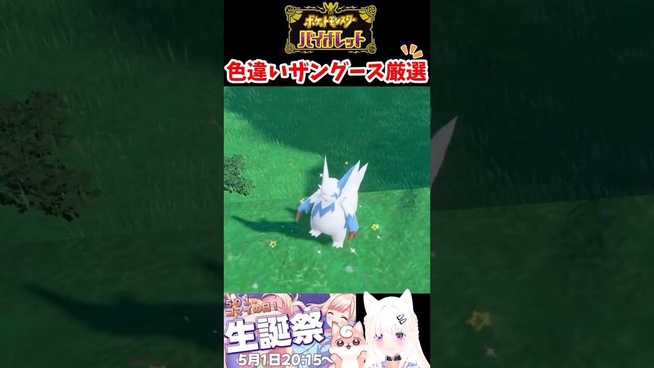 #ポケモンsv 色違いザングース厳選