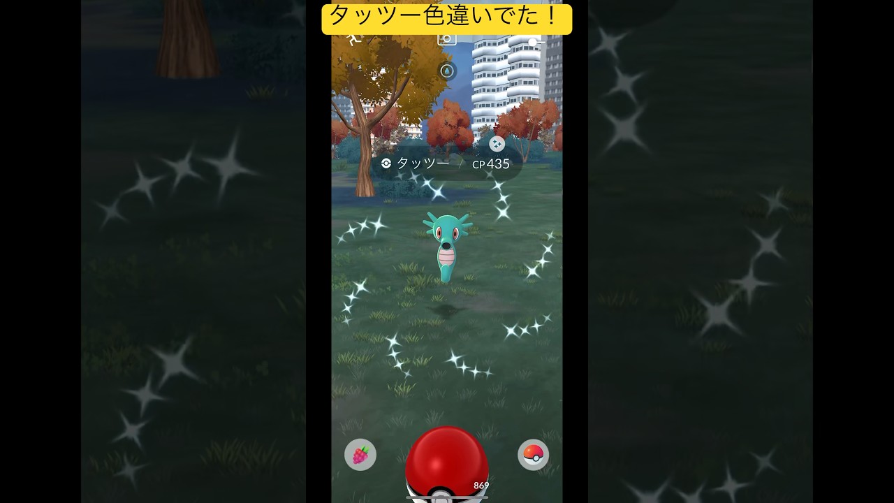 タッツー色違い！やっと出たー！全然出なかったー！#ポケモンgo #pokemon #pokemongo #shorts #short