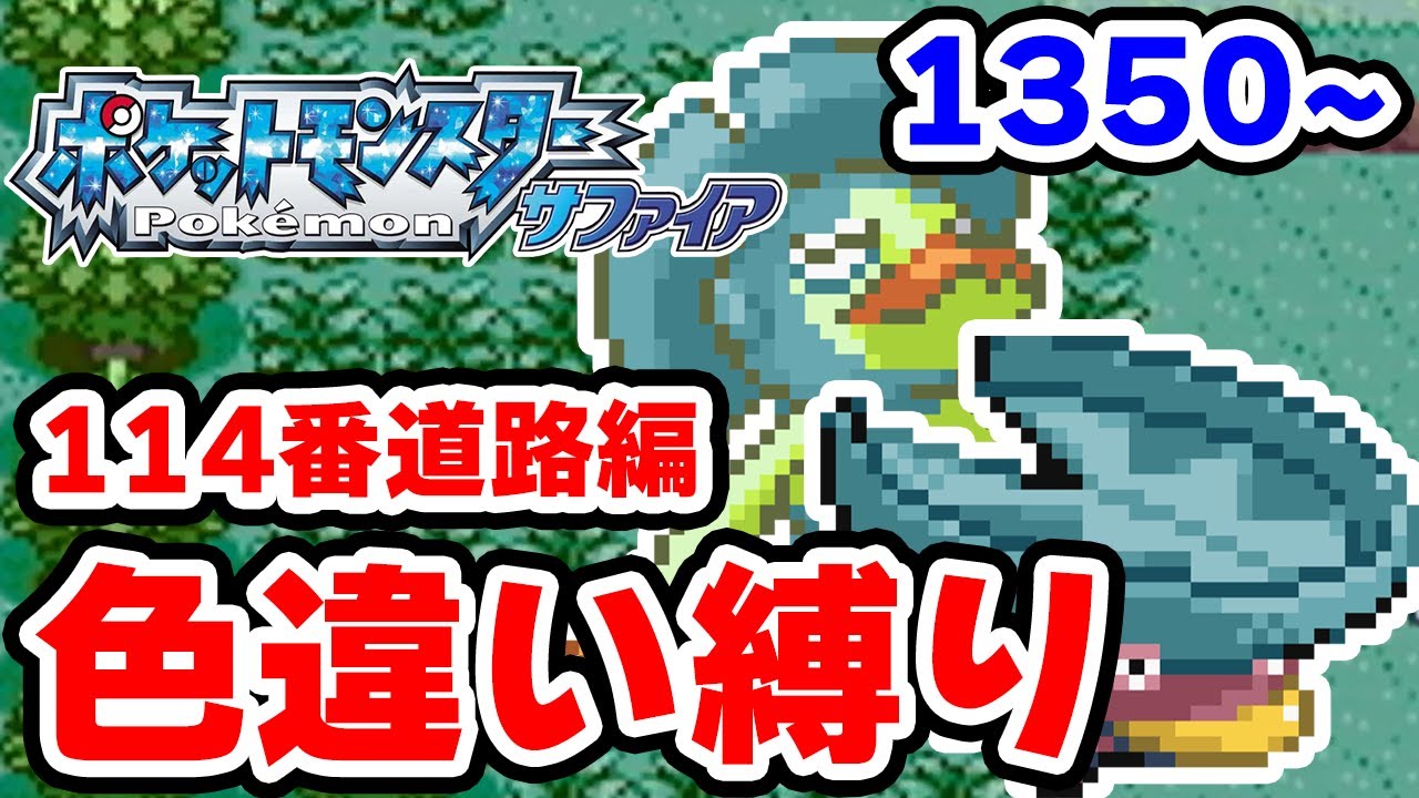 【色違い縛り】新・色違いを再び114番道路で粘る男 1350~【ポケモンRS】