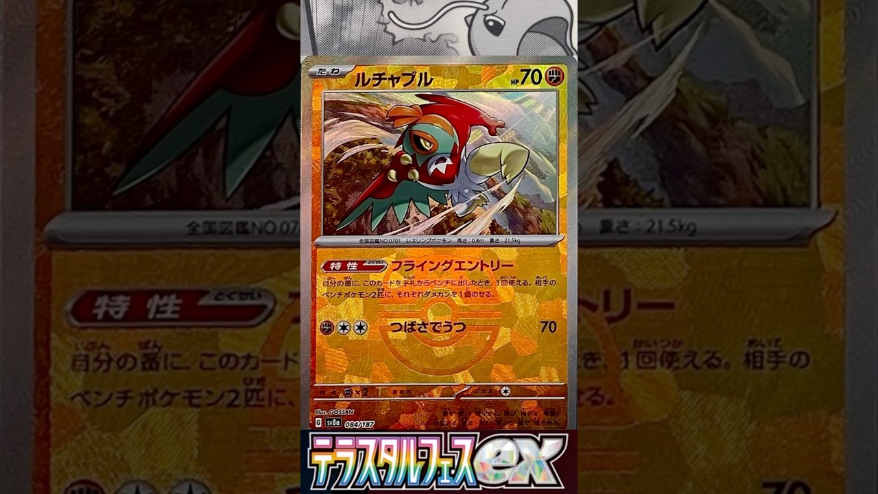 【テラスタルフェスex】ルチャブル引きたくて仕方ない人。#ポケカ#テラスタルフェスex #マスボミラー#ルチャブル