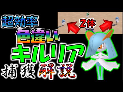 超効率！色違いキルリア捕獲方法解説