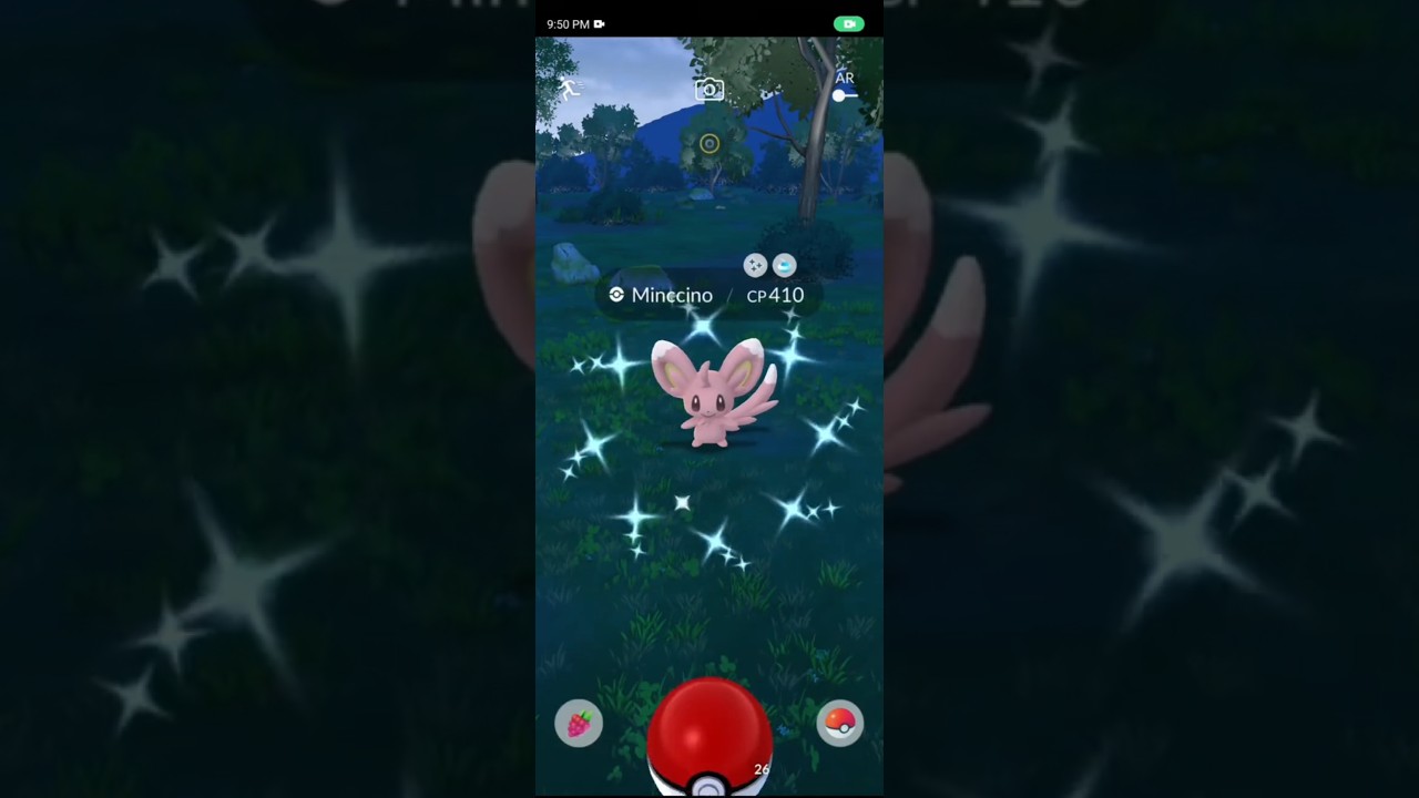 Shiny Minccino - @pokemongo #pokemon #pokemongo #shinypokemon #ポケモン #ポケモンgo