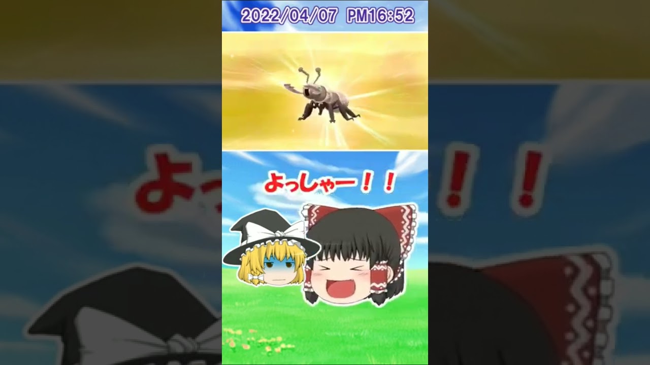 【ポケモン剣盾】色違い粘り　#49　色違いアイアント　ゆっくり実況