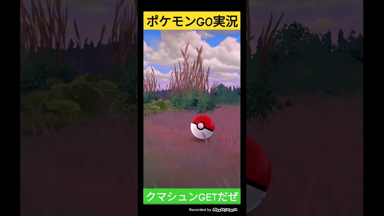 ポケモンGO実況🐻クマシュンGETだぜ😀クマシュンに勝負を挑んでみた❄ #ポケモンgo #shorts #ショート