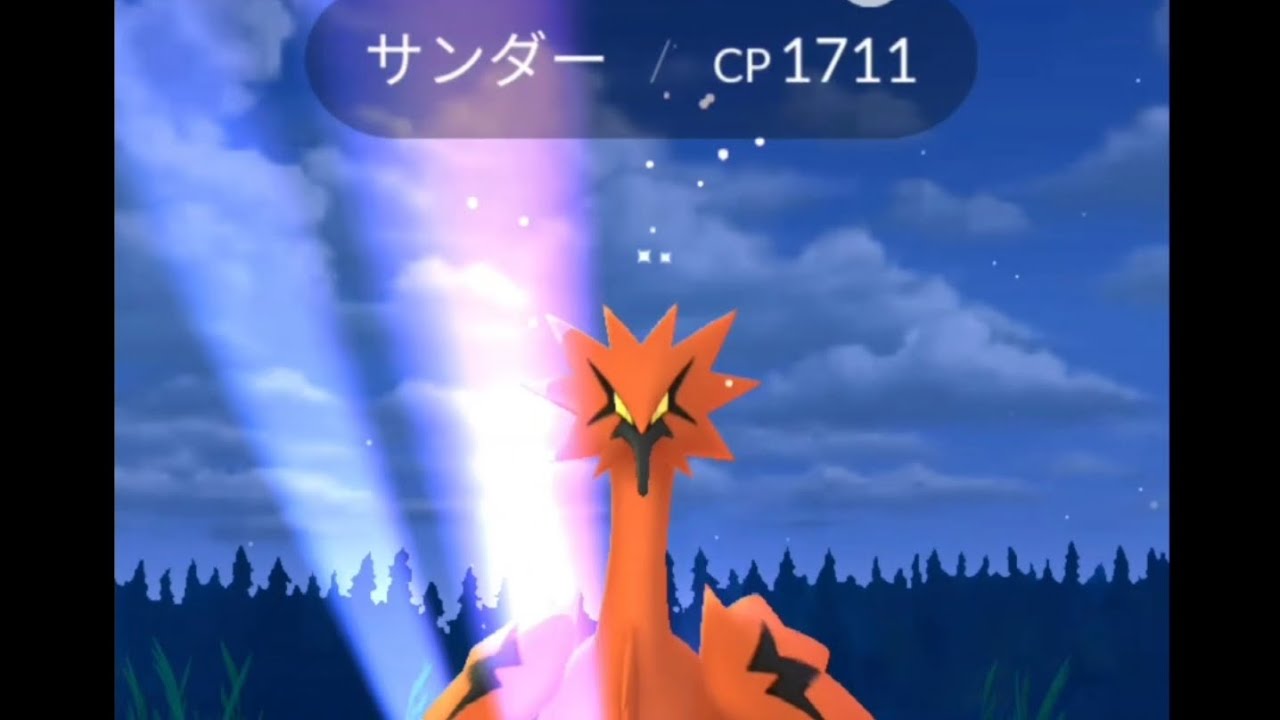 ポケモンGO　スポットライトアワー　ヤミカラス　2024/12/10 結果　ガラルサンダーあらわる