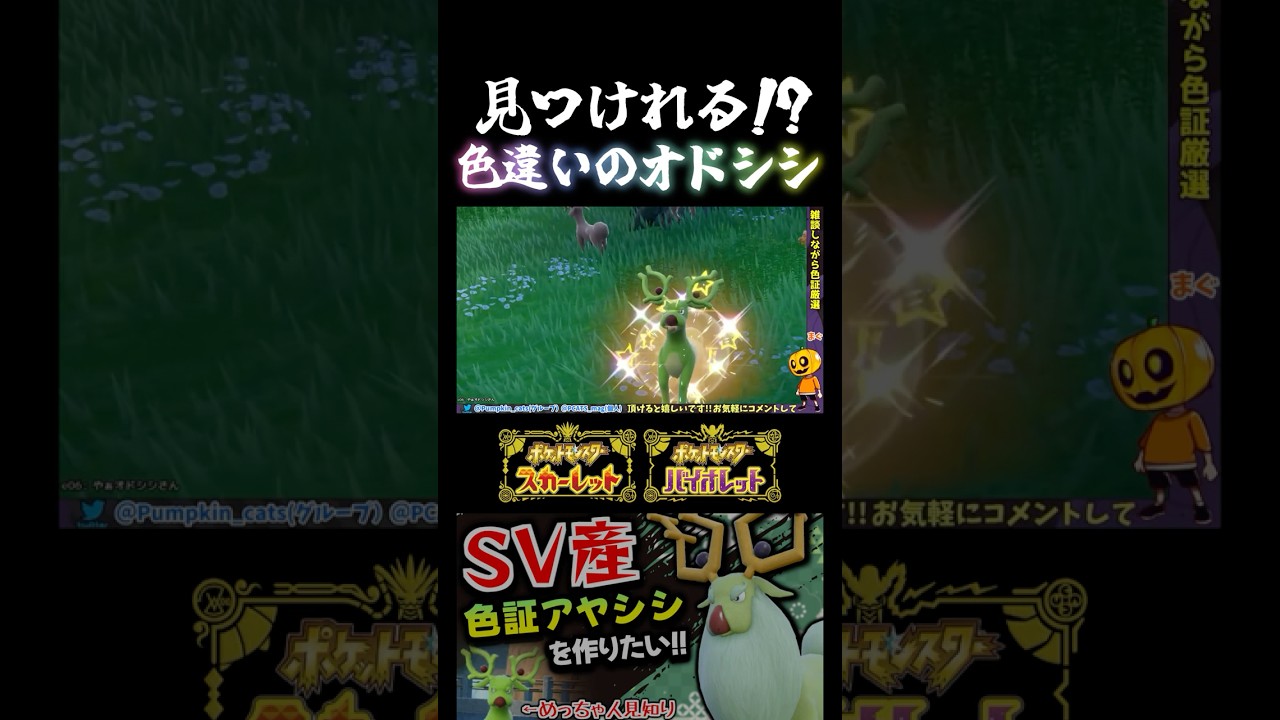 【ポケモンSV】どこにいるか見つけれる!? オドシシの色証厳選をしてたけどカモフラージュが上手すぎて大苦戦ｗ【切り抜き】【色違いポケモン】【色違い厳選】#shorts