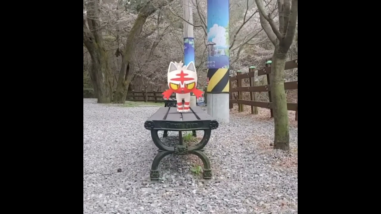 냐오불 ( Litten ) ニャビー ( 火斑喵 )