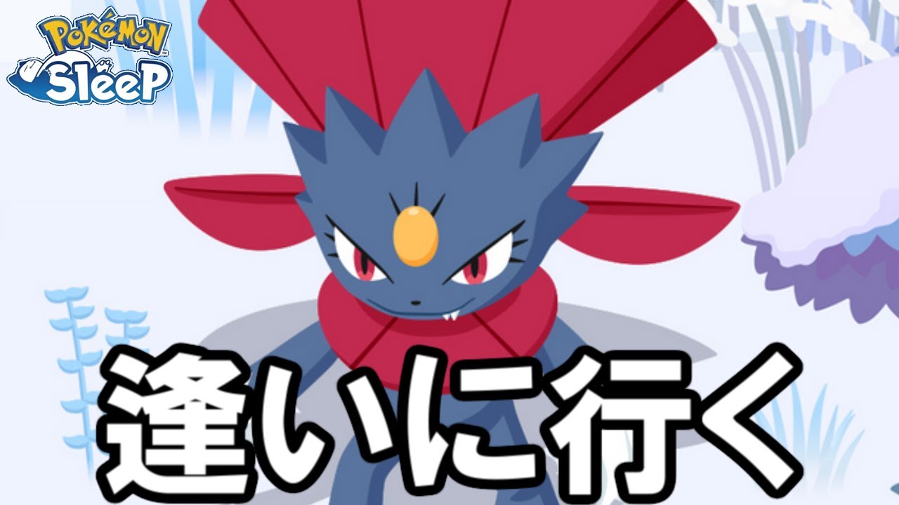 マニューラを乱獲します。【ポケモンスリープ】