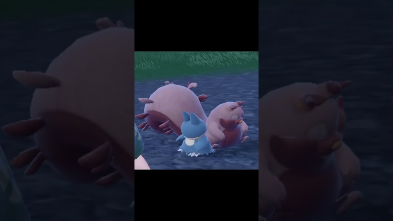 鬼退治フェス終わりのヨクバリス＆ゴンベ　#Shorts