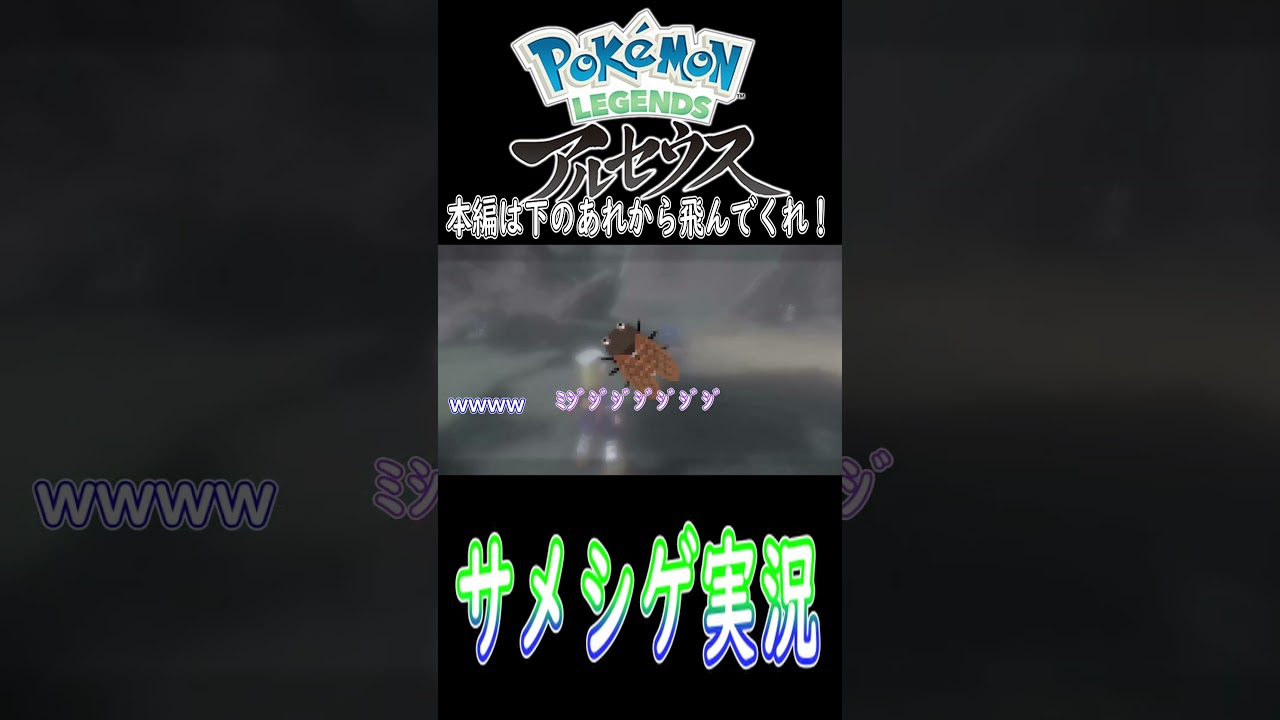 ミジュマルなら大丈夫？【ポケモンアルセウス】