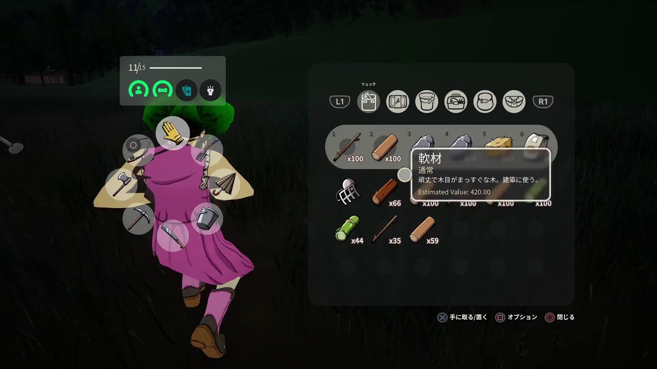 第10回　スローライフvsバグvsダークライ[SunnySide]