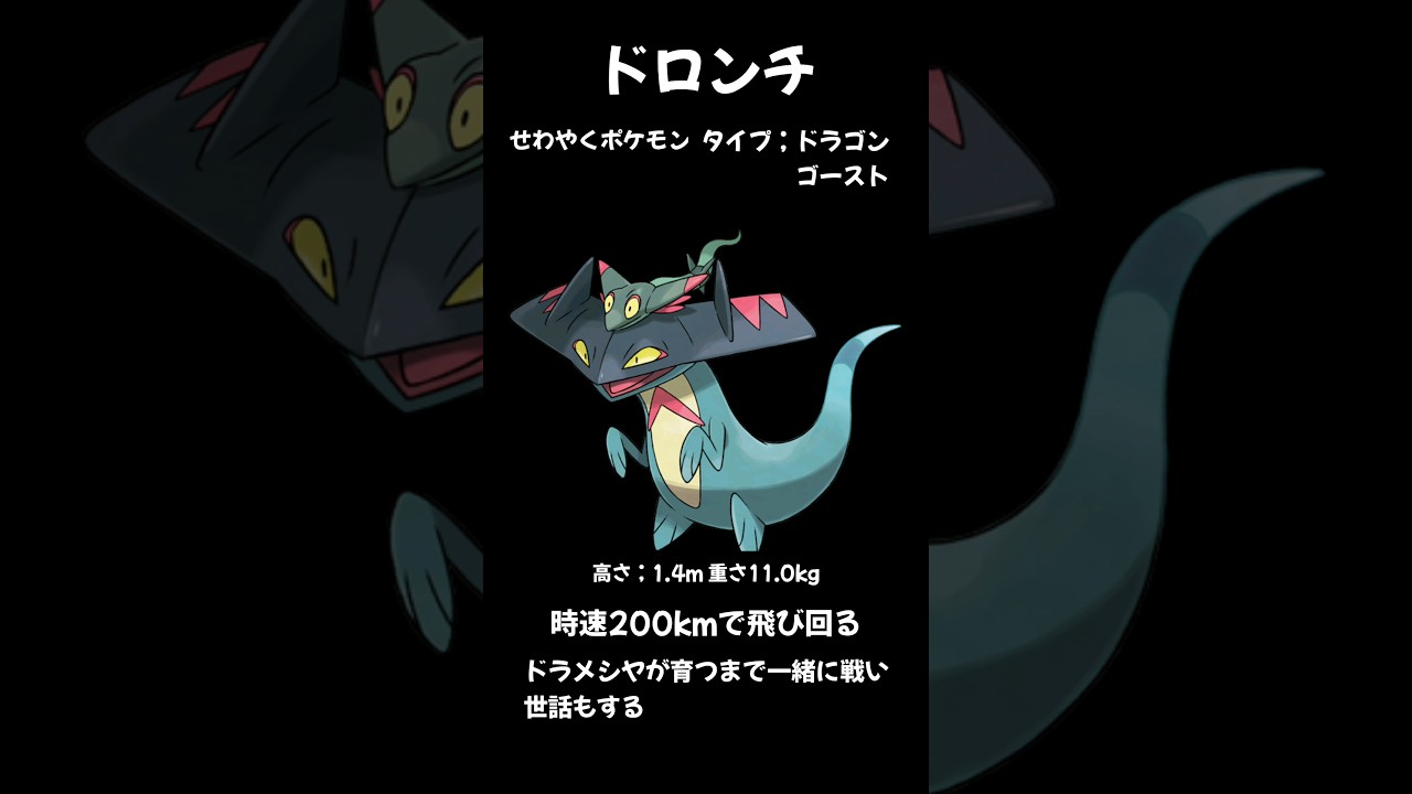 就寝前の夫婦でポケモン講座【ドロンチ】毎日投稿12日目