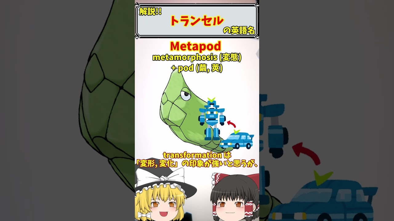 【英語でポケモン】No.011 トランセル【海外ポケモンゼミナール】 #ポケモン #ポケモンゆっくり解説 #ポケモン解説 #海外 #英語 #toeic