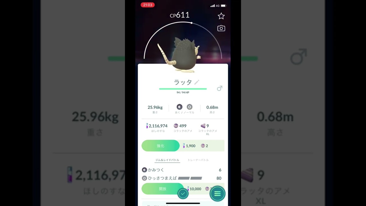 ポケモンGOでラッタ（アローラのすがた）をゲット！