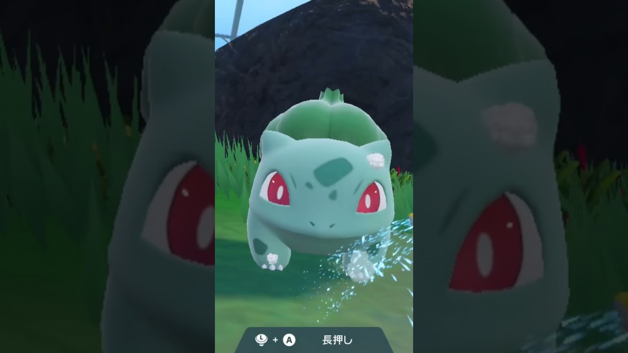 フシギダネ Bulbasaur【ポケモンsv】