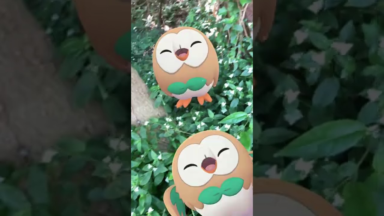 モクロー｜Rowlet｜フォトボム｜GOphotobomb【ポケモンGO】AR動画｜PoKeMoN GO AR｜#Shorts